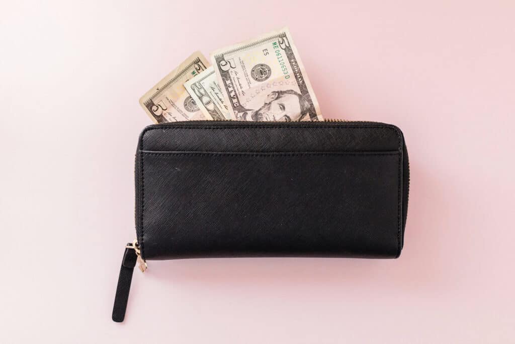 cash in wallet for blog post about free surveys that pay cash instantly